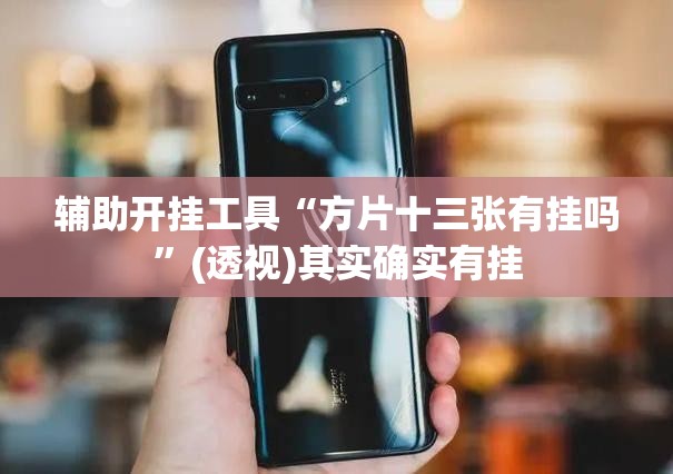 辅助开挂工具“方片十三张有挂吗”(透视)其实确实有挂