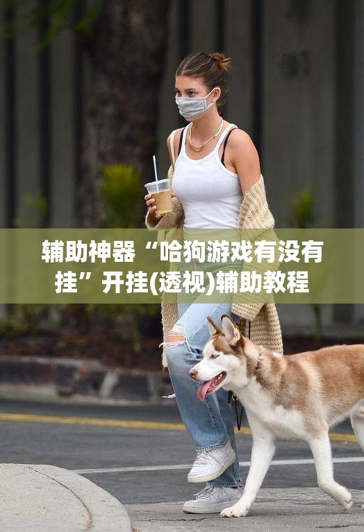 辅助神器“哈狗游戏有没有挂”开挂(透视)辅助教程