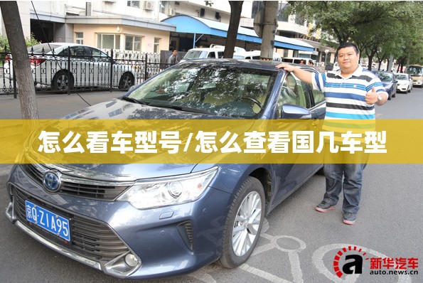 怎么看车型号/怎么查看国几车型