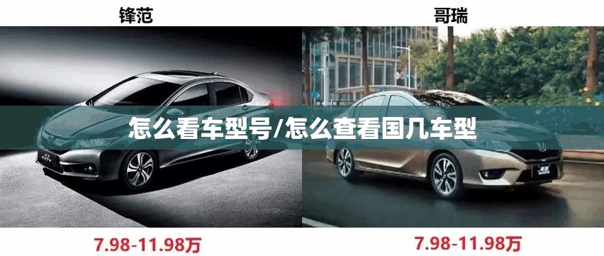 怎么看车型号/怎么查看国几车型