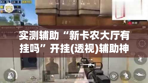 实测辅助“新卡农大厅有挂吗	”开挂(透视)辅助神器