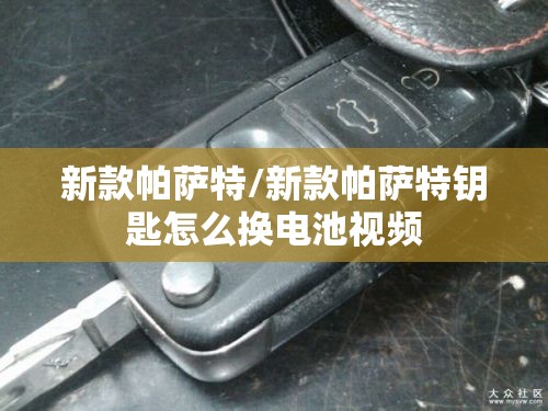 新款帕萨特/新款帕萨特钥匙怎么换电池视频