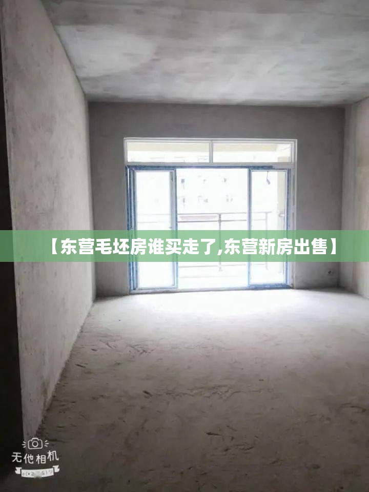 【东营毛坯房谁买走了,东营新房出售】