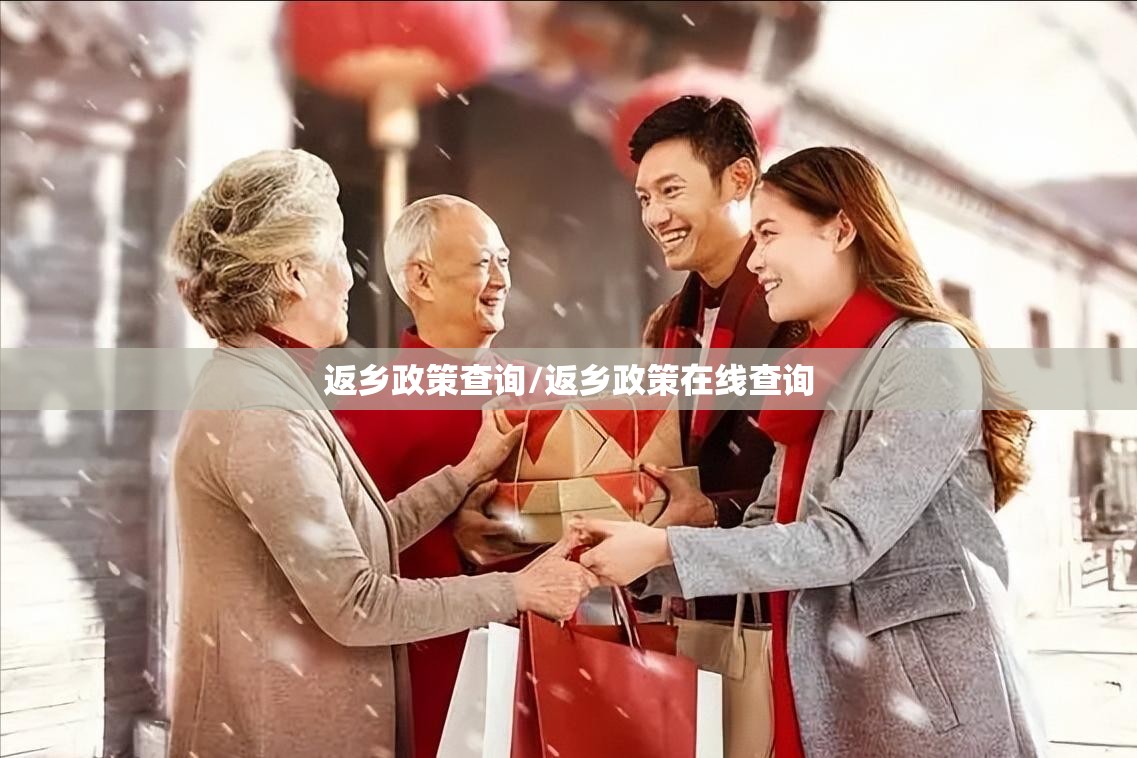 返乡政策查询/返乡政策在线查询