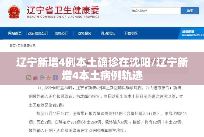 辽宁新增4例本土确诊在沈阳/辽宁新增4本土病例轨迹