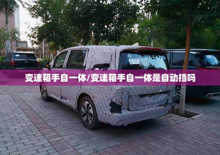 变速箱手自一体/变速箱手自一体是自动挡吗