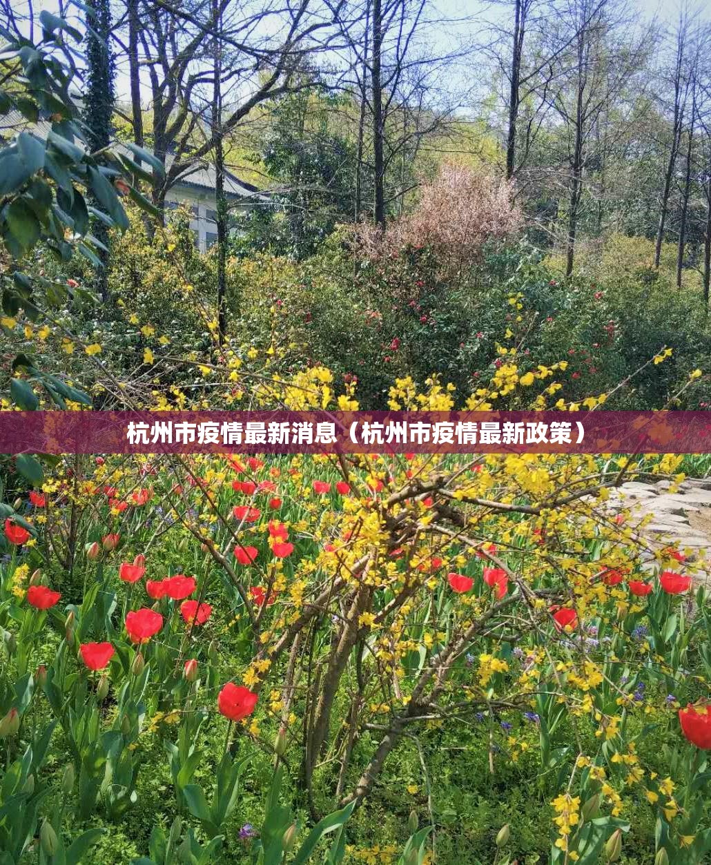 杭州市疫情最新消息(杭州市疫情最新政策) 杭州市疫情最新消息(杭州市疫情最新政策)