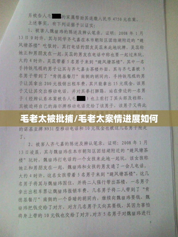 毛老太被批捕/毛老太案情进展如何