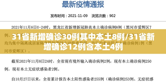 31省新增确诊30例其中本土8例/31省新增确诊12例含本土4例