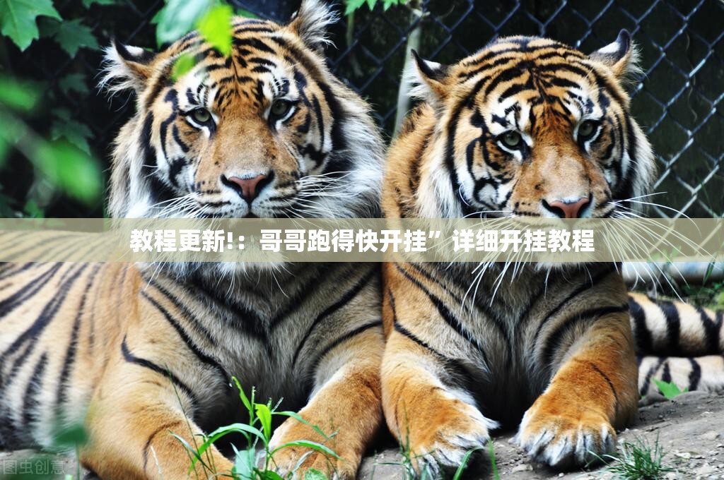 教程更新!：哥哥跑得快开挂”详细开挂教程