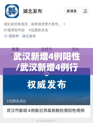 武汉新增4例阳性/武汉新增4例行程 武汉新增4例阳性/武汉新增4例行程