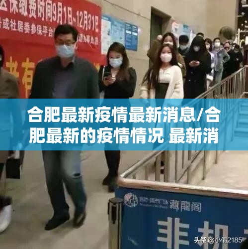 合肥最新疫情最新消息/合肥最新的疫情情况 最新消息