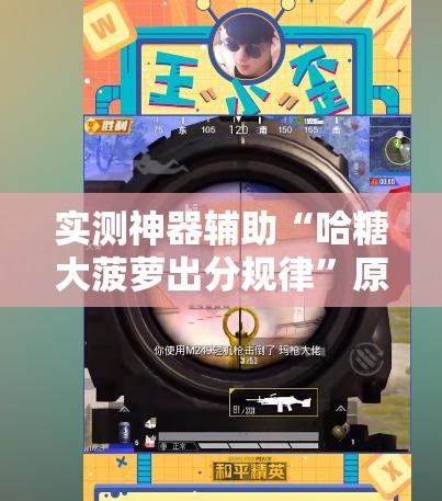 实测神器辅助“哈糖大菠萝出分规律”原来可以开挂