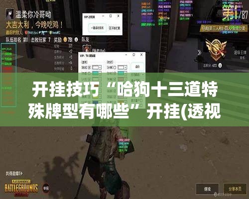 开挂技巧“哈狗十三道特殊牌型有哪些”开挂(透视)最新辅助详细