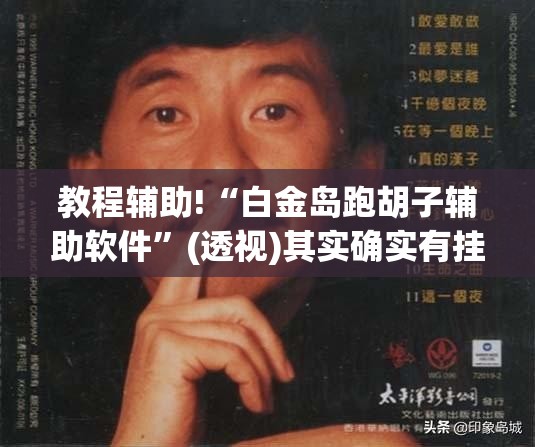 教程辅助!“白金岛跑胡子辅助软件”(透视)其实确实有挂