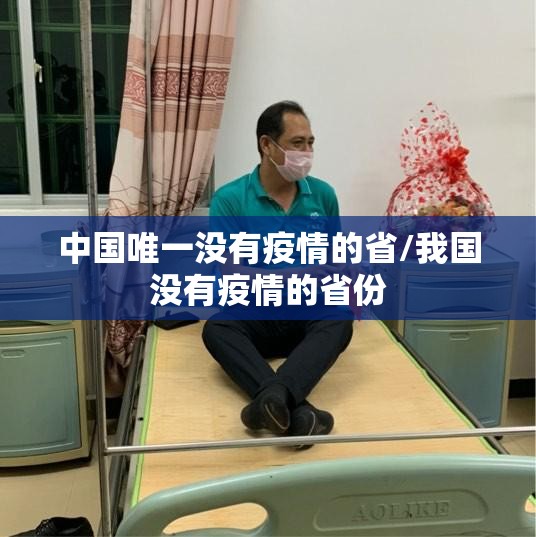 中国唯一没有疫情的省/我国没有疫情的省份 中国唯一没有疫情的省/我国没有疫情的省份
