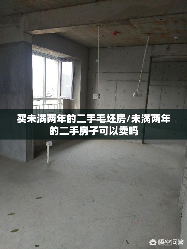 买未满两年的二手毛坯房/未满两年的二手房子可以卖吗