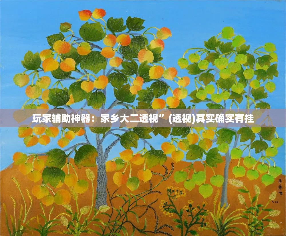 玩家辅助神器：家乡大二透视”(透视)其实确实有挂