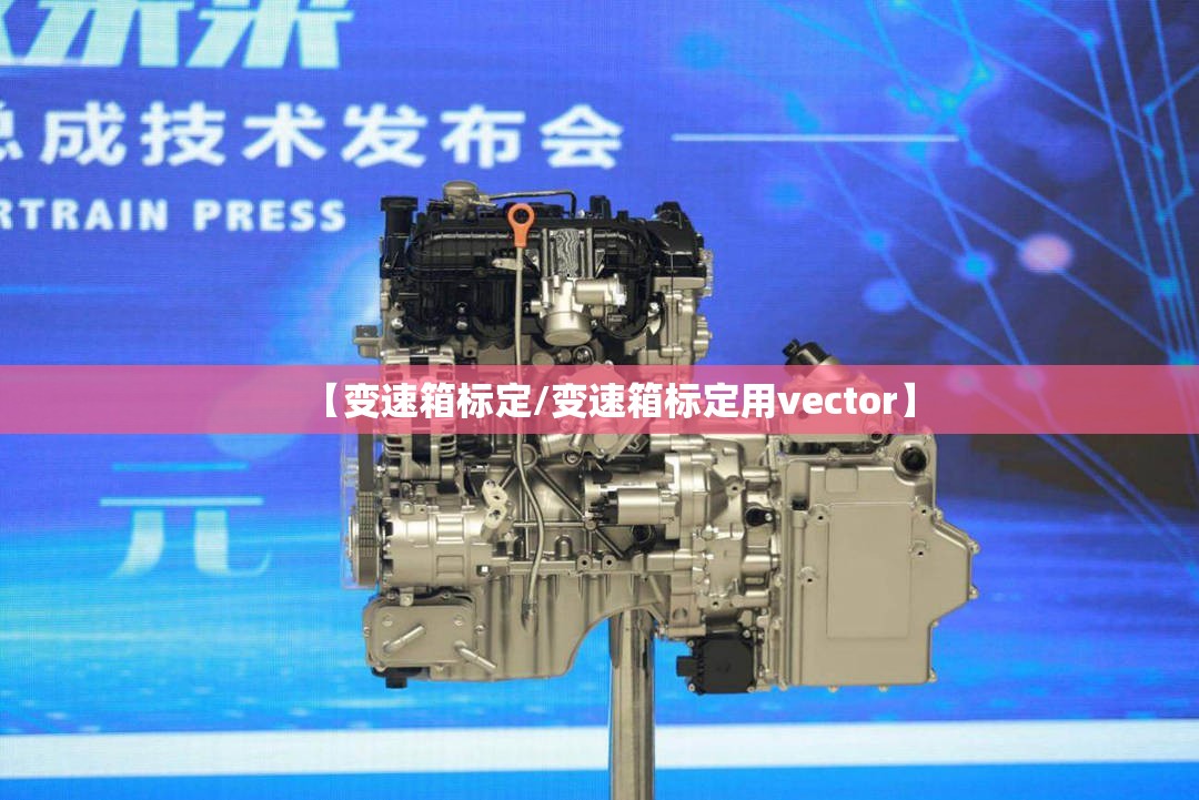 【变速箱标定/变速箱标定用vector】