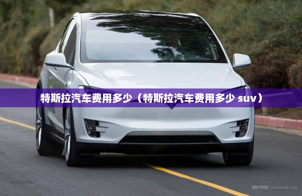 特斯拉汽车费用多少（特斯拉汽车费用多少 suv）