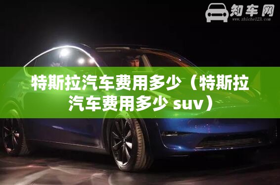 特斯拉汽车费用多少（特斯拉汽车费用多少 suv）