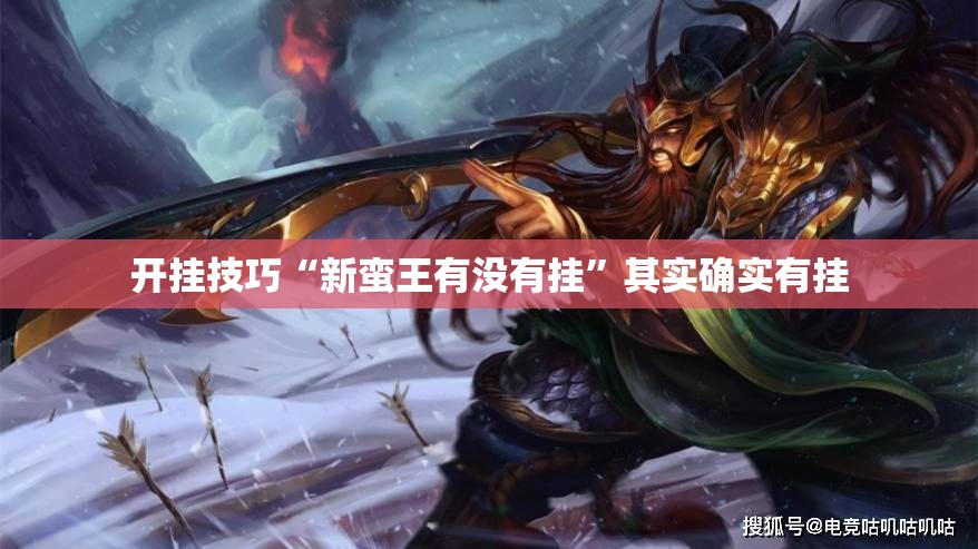 开挂技巧“新蛮王有没有挂”其实确实有挂