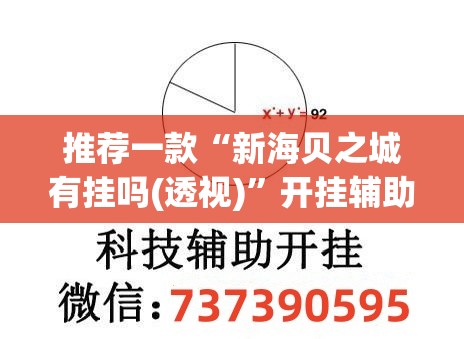 推荐一款“新海贝之城有挂吗(透视)”开挂辅助脚本+详细开挂安装教程