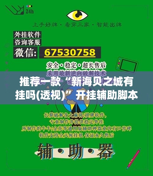 推荐一款“新海贝之城有挂吗(透视)”开挂辅助脚本+详细开挂安装教程