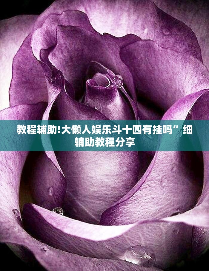 教程辅助!大懒人娱乐斗十四有挂吗”细辅助教程分享