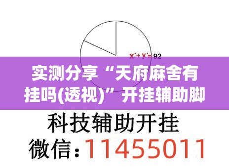 实测分享“天府麻舍有挂吗(透视)”开挂辅助脚本+详细开挂安装教程