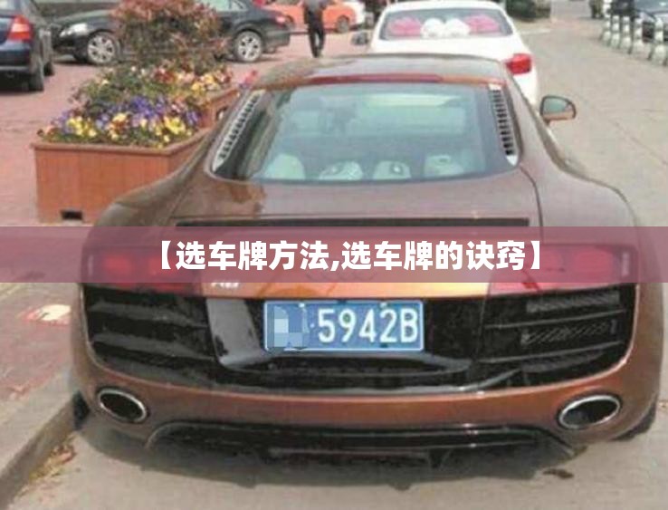 【选车牌方法,选车牌的诀窍】