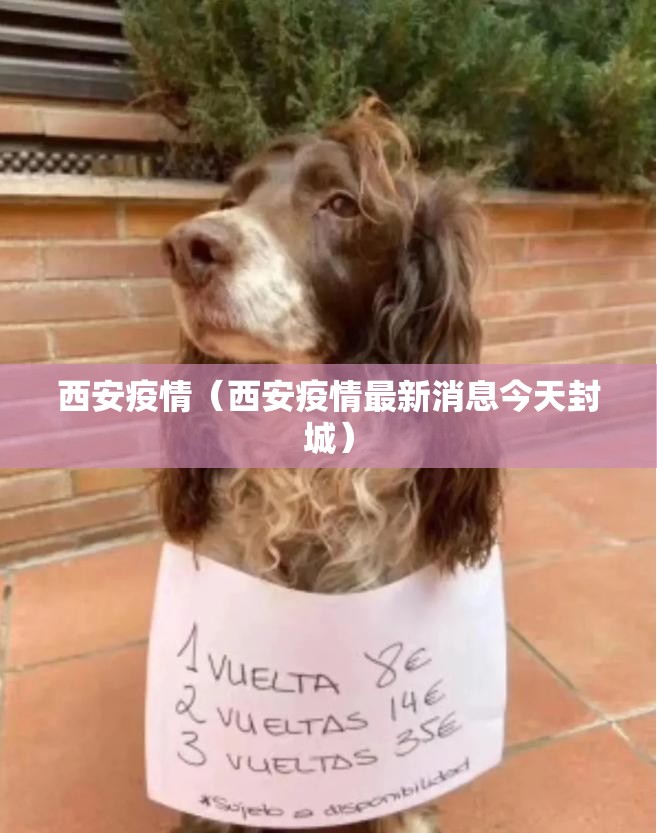 西安疫情（西安疫情最新消息今天封城）