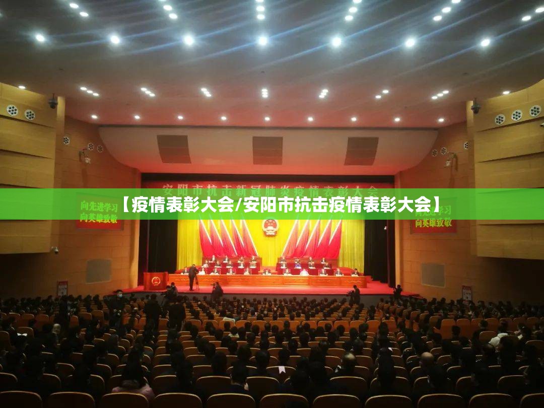 【疫情表彰大会/安阳市抗击疫情表彰大会】