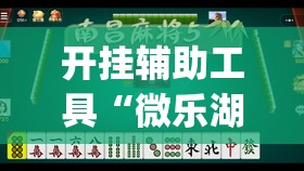 开挂辅助工具“微乐湖北麻将小程序怎么开挂”开挂(透视)最新辅助详细