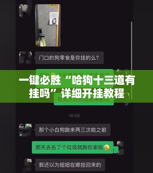 一键必胜“哈狗十三道有挂吗”详细开挂教程