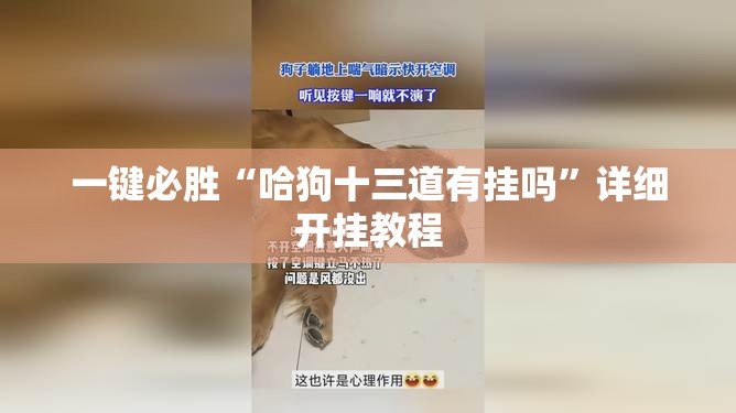 一键必胜“哈狗十三道有挂吗”详细开挂教程