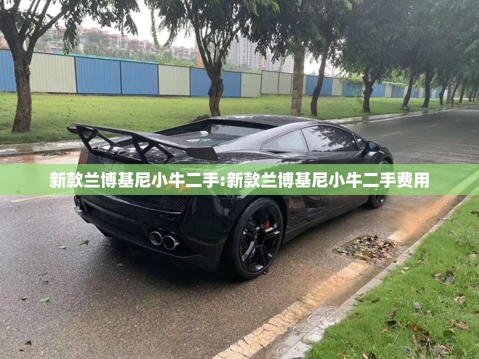 新款兰博基尼小牛二手:新款兰博基尼小牛二手费用
