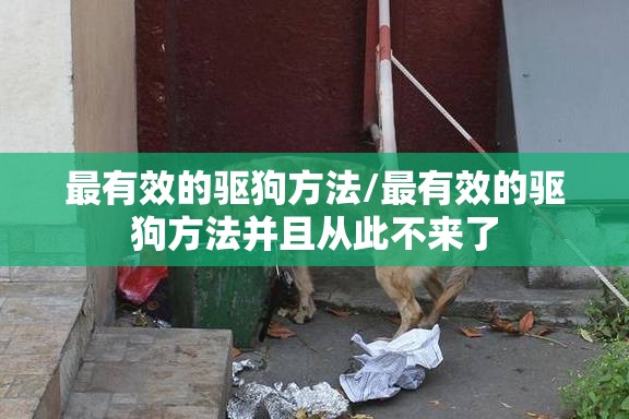 最有效的驱狗方法/最有效的驱狗方法并且从此不来了