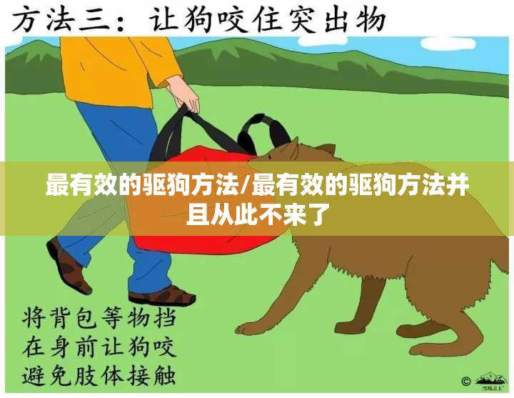 最有效的驱狗方法/最有效的驱狗方法并且从此不来了