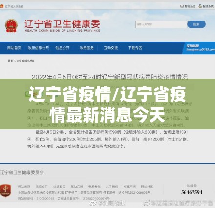 辽宁省疫情/辽宁省疫情最新消息今天