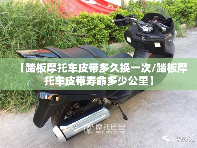 【踏板摩托车皮带多久换一次/踏板摩托车皮带寿命多少公里】