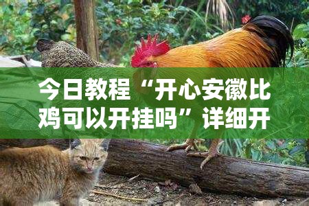 今日教程“开心安徽比鸡可以开挂吗”详细开挂教程