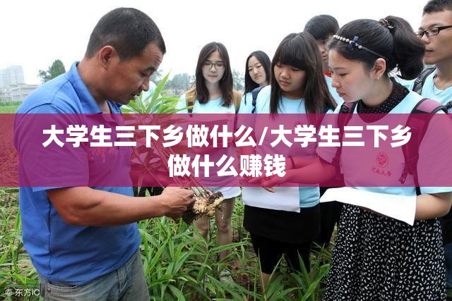 大学生三下乡做什么/大学生三下乡做什么赚钱