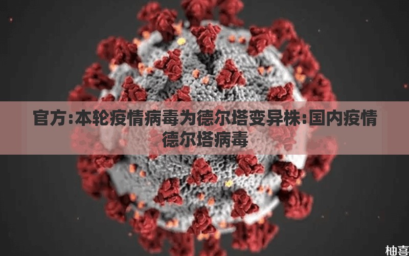 官方:本轮疫情病毒为德尔塔变异株:国内疫情德尔塔病毒