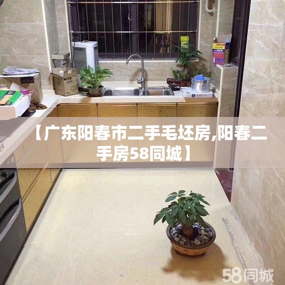 【广东阳春市二手毛坯房,阳春二手房58同城】 【广东阳春市二手毛坯房,阳春二手房58同城】