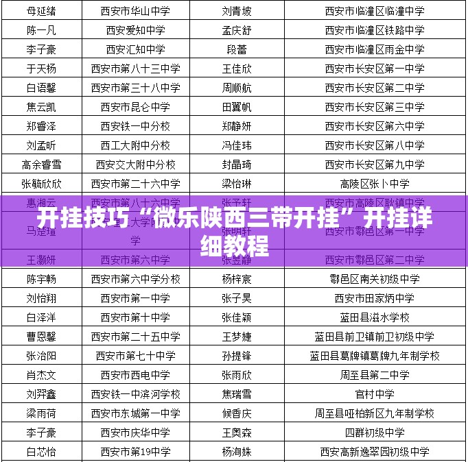 开挂技巧“微乐陕西三带开挂”开挂详细教程