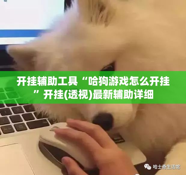 开挂辅助工具“哈狗游戏怎么开挂”开挂(透视)最新辅助详细