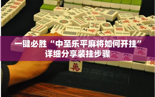 一键必胜“中至乐平麻将如何开挂”详细分享装挂步骤