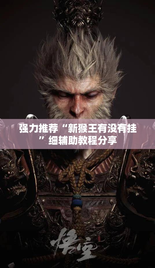 强力推荐“新猴王有没有挂”细辅助教程分享