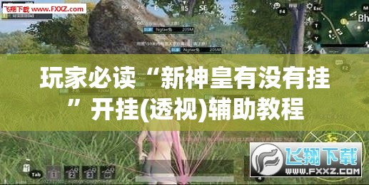 玩家必读“新神皇有没有挂”开挂(透视)辅助教程